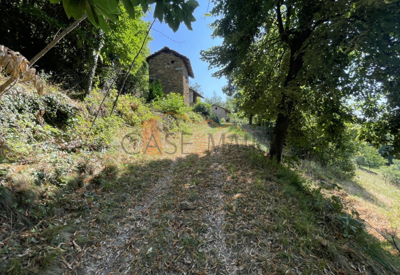 Borgata Balanzone, Roccabruna, 12020, ,Rustico, casale,In vendita,Borgata Balanzone,1238